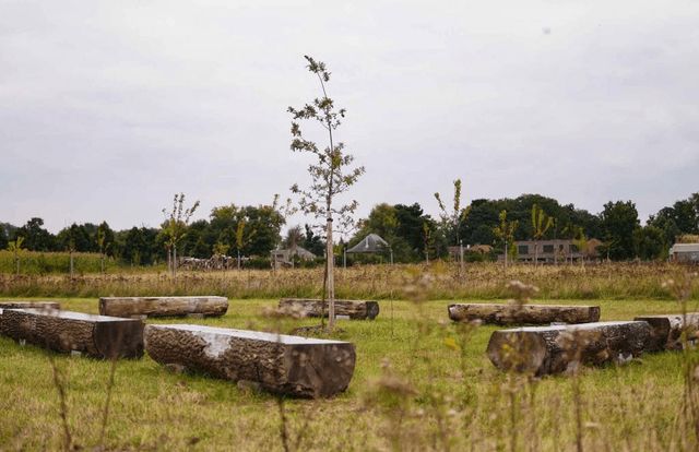 У Бельгії відкрилося перше у світі екологічне кладовище: у чому полягає його концепція - фото 479856