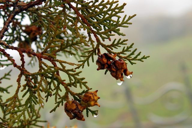 17 жовтня 2022 – яке сьогодні свято: традиції, заборони і прикмети - фото 480336