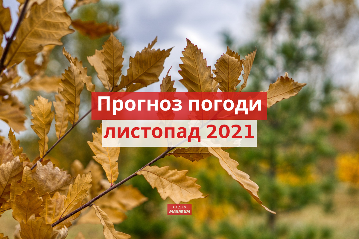якою буде погода у листопаді 2021 - фото 1