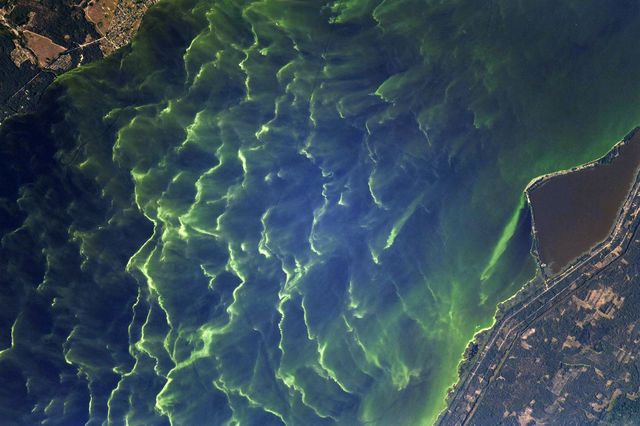 Дивіться, як виглядає осінній Київ з космосу: фото від астронавта NASA - фото 480414