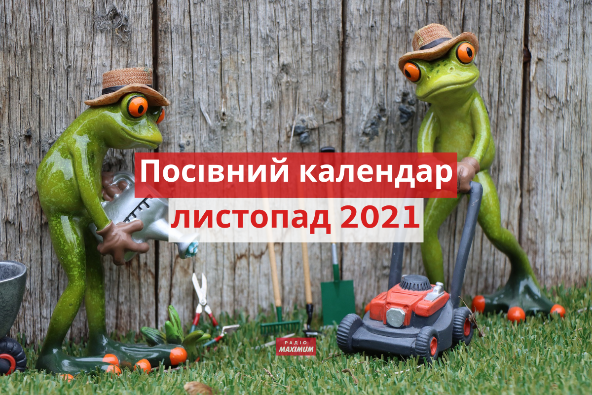 Посівний календар для городника на листопад - фото 1