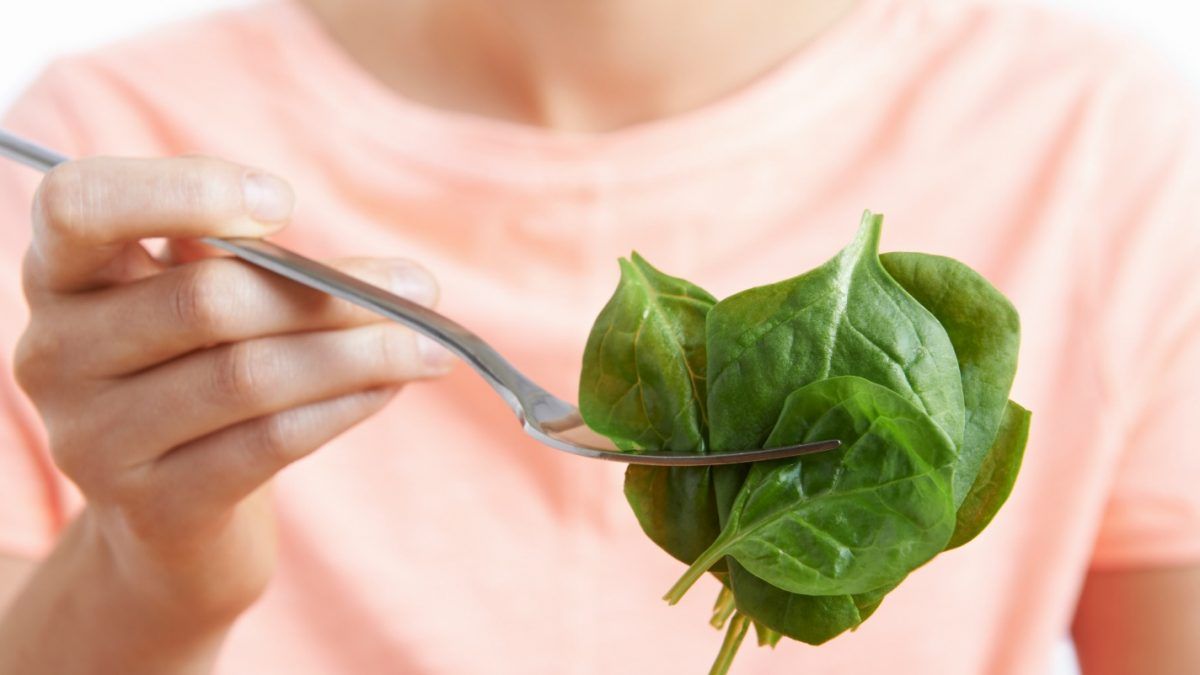 Шпинат - фото 1