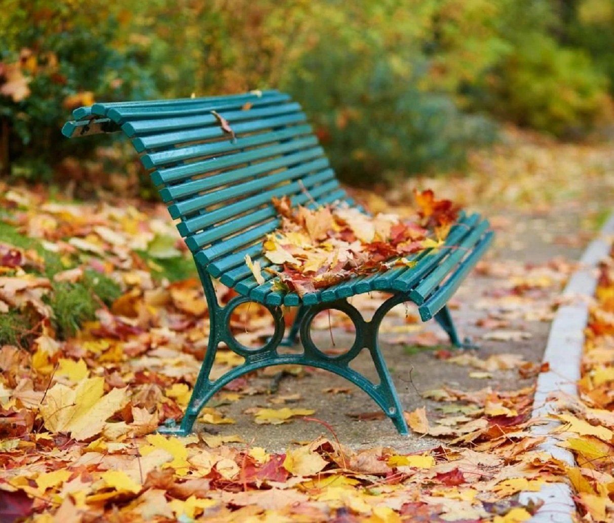 Осінь - фото 1