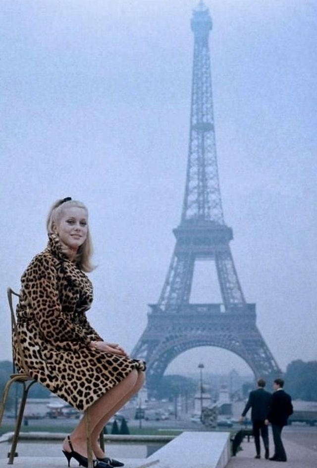 Найгарячіші образи Катрін Деньов за всю кар'єру: добірка фото іменинниці (18+) - фото 481145