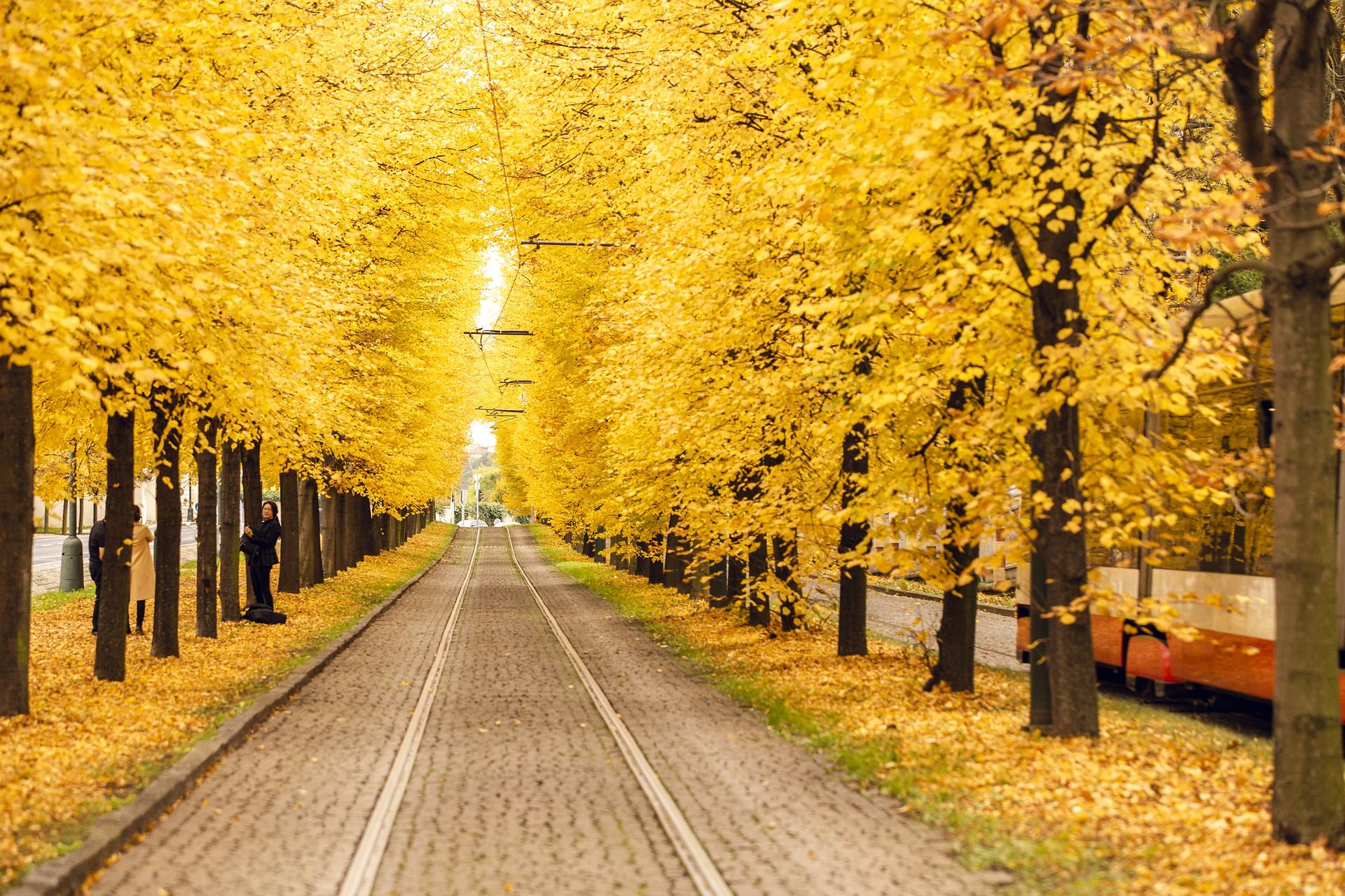 Погода в Україні 17 жовтня: де очікуються дощі