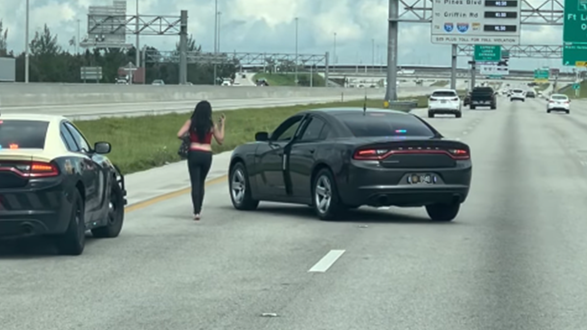 У США зняли на відео найповільнішу погоню у світі - фото 1