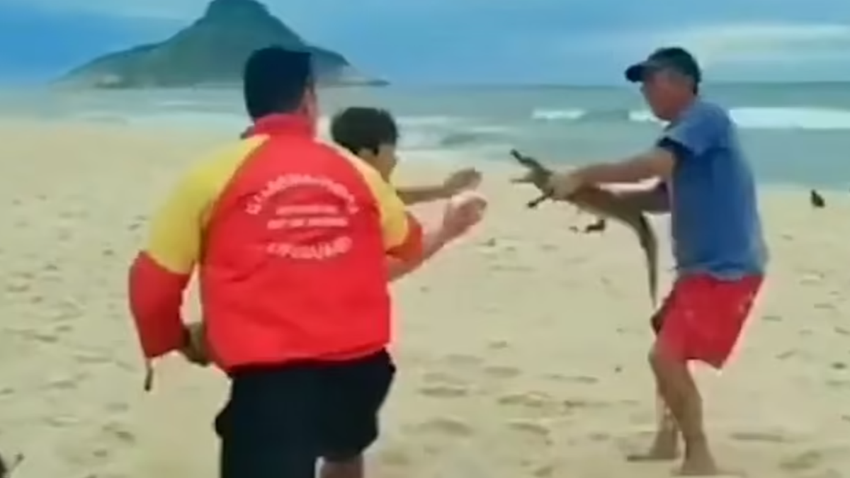 У Бразилії чоловік відбивався за допомогою крокодила: епічне відео - фото 1