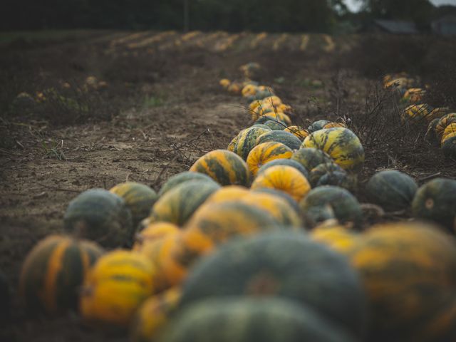 2 листопада 2021 – яке сьогодні свято: традиції, заборони і прикмети - фото 482565
