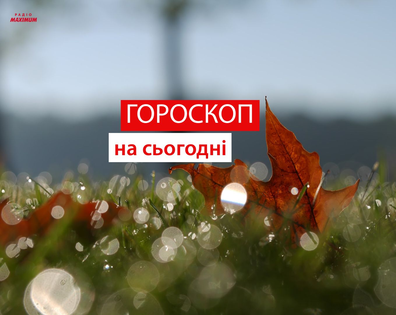Гороскоп на 1 листопада 2021: прогноз для всіх знаків Зодіаку