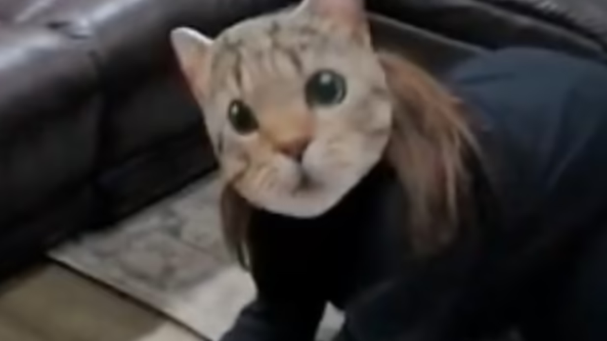 Американка у величезній масці кішки потролила своїх котів: курйозне відео - фото 1