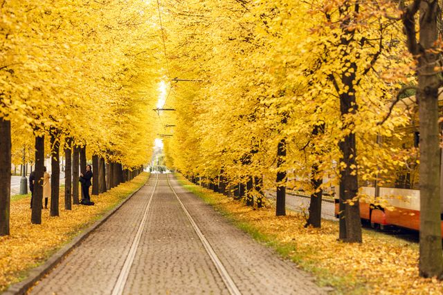 6 листопада 2021 – яке сьогодні свято: традиції, заборони і прикмети - фото 483206