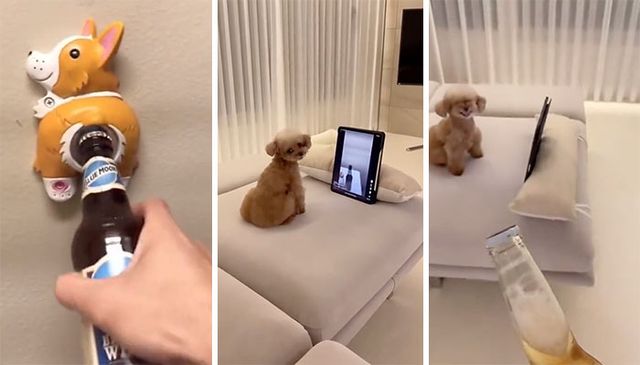 Tlvegas - фото 483766