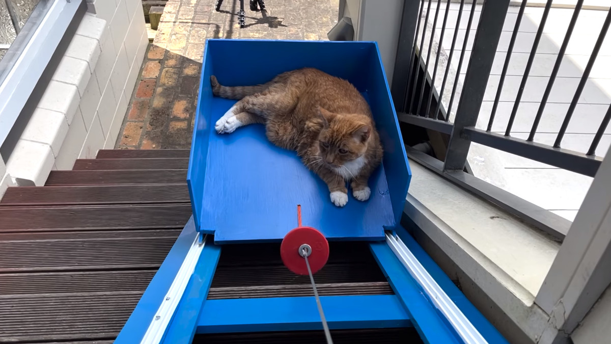 Блогер побудував ліфт для свого старенького кота, якому важко ходити сходами: відео - фото 1