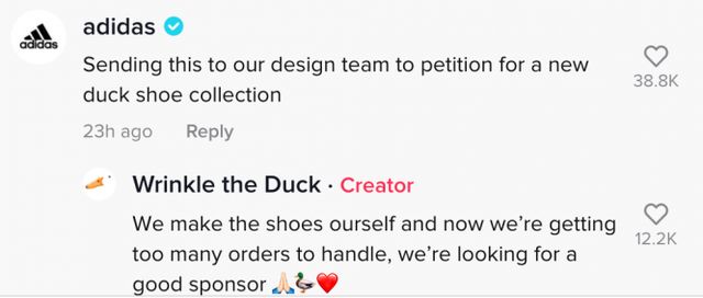 Качка стала зіркою Нью-Йоркського марафону: миле відео - фото 484072