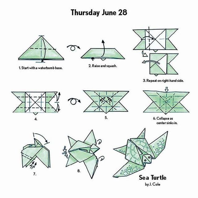 Черепаха з паперу - фото 484164