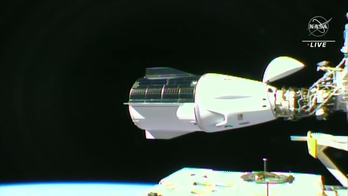 Crew Dragon-3 пристикувався до МКС - фото 1