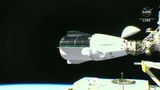 Корабель SpaceX Crew Dragon успішно стикувався з МКС: відео