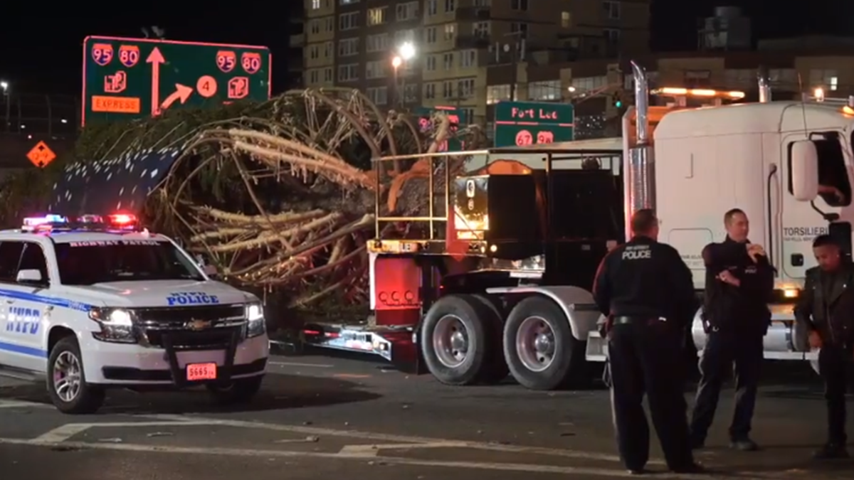 Дивіться, як у Нью-Йорк з ескортом поліції доставили головну ялинку: відео