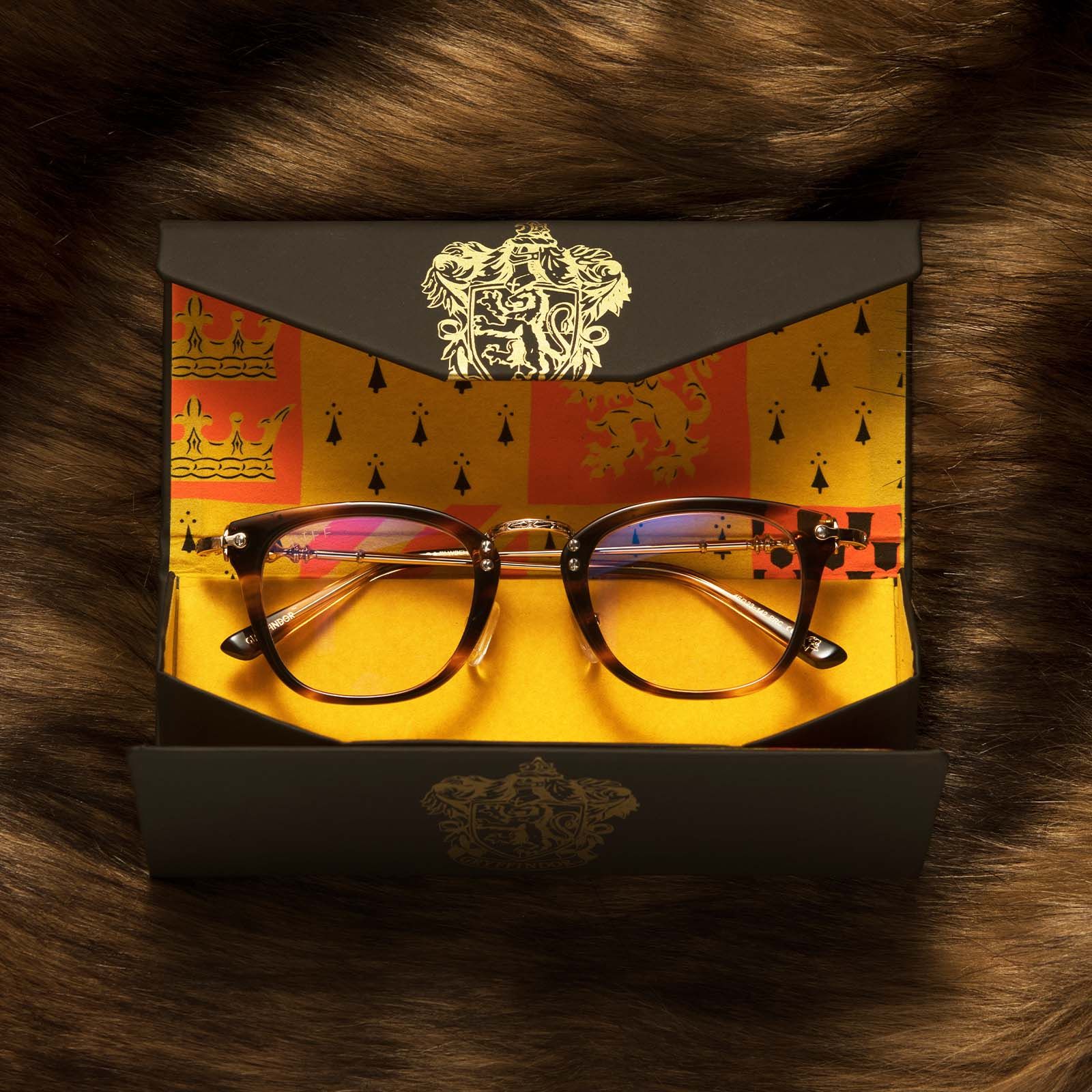 Марка оптики Diff випустила колекцію окулярів за мотивами Гаррі Поттера