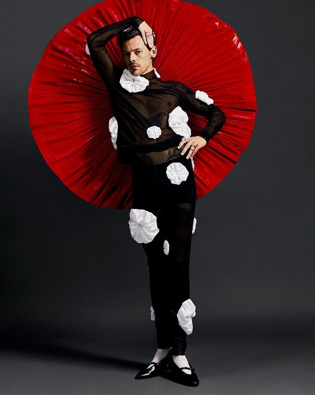 Гаррі Стайлс приголомшив новою екстравагантною зйомкою для модного журналу - фото 484780