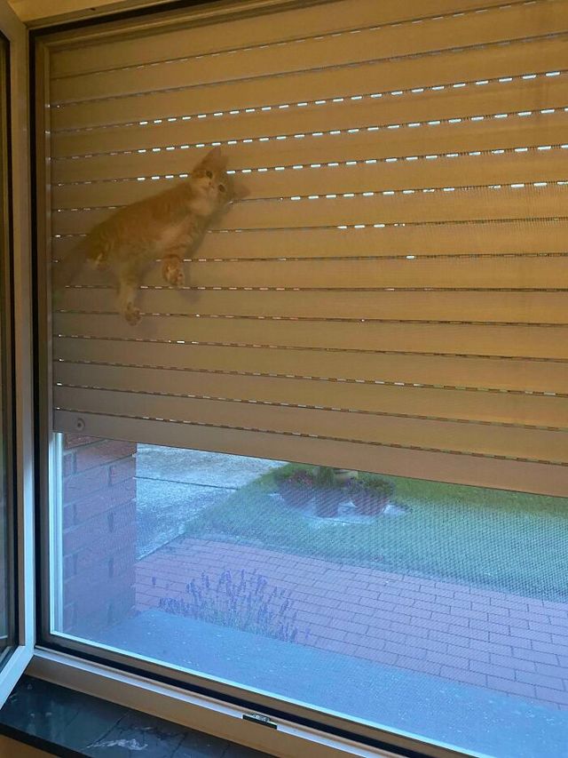 Fluid_Milk7119 - фото 485036