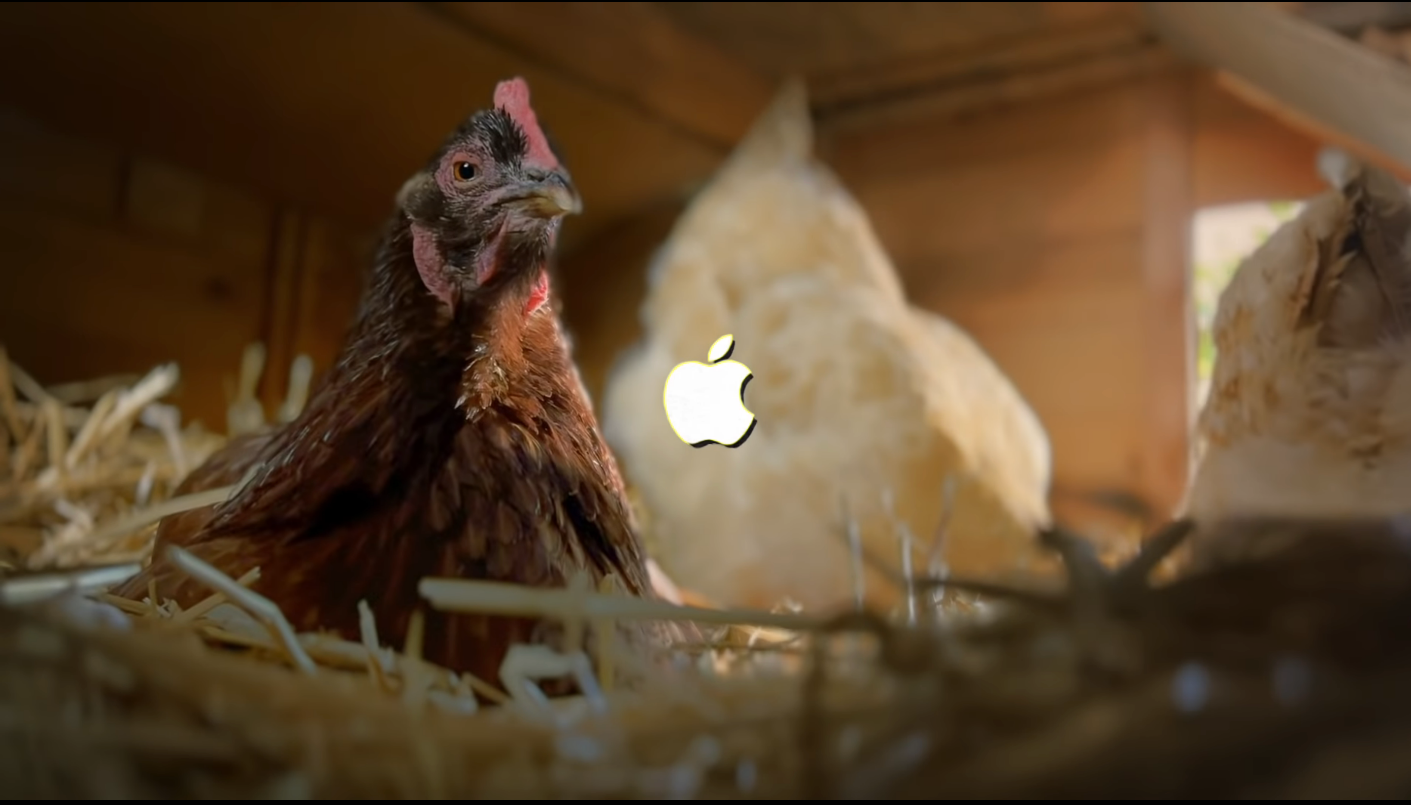 Оскароносний режисер зняв короткометражку про яйця на iPhone 13 Pro