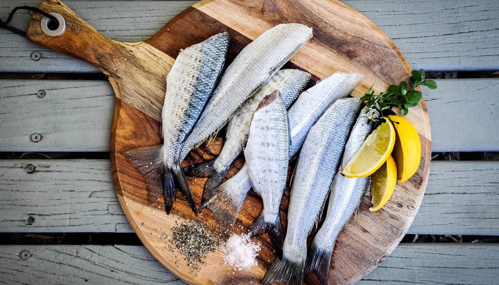 Риба - фото 1