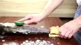 Як швидко почистити рибу від луски: відео