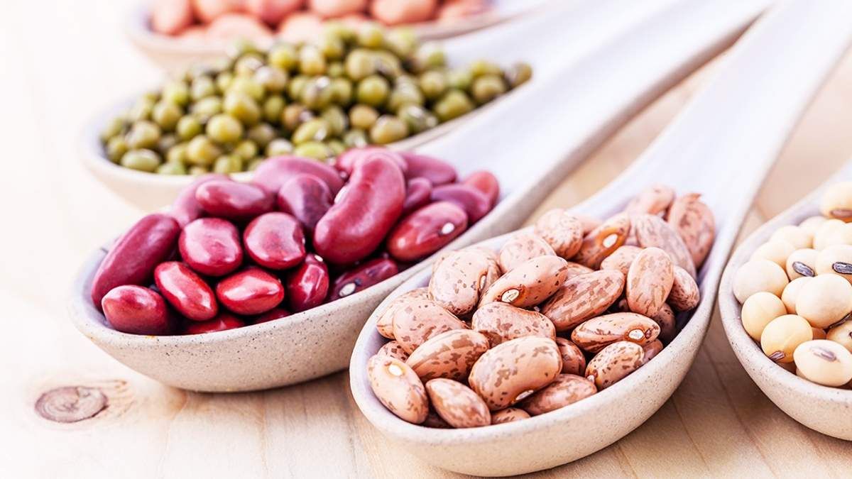 Бобові - фото 1