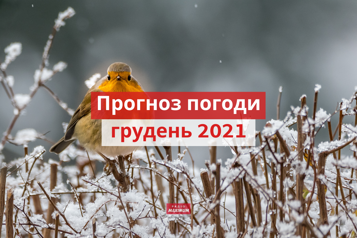 якою буде погода у грудні 2021 - фото 1