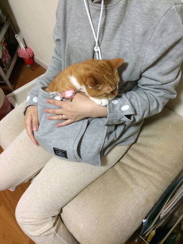 В Японії випустили геймерське худі для власників кішок - фото 486259