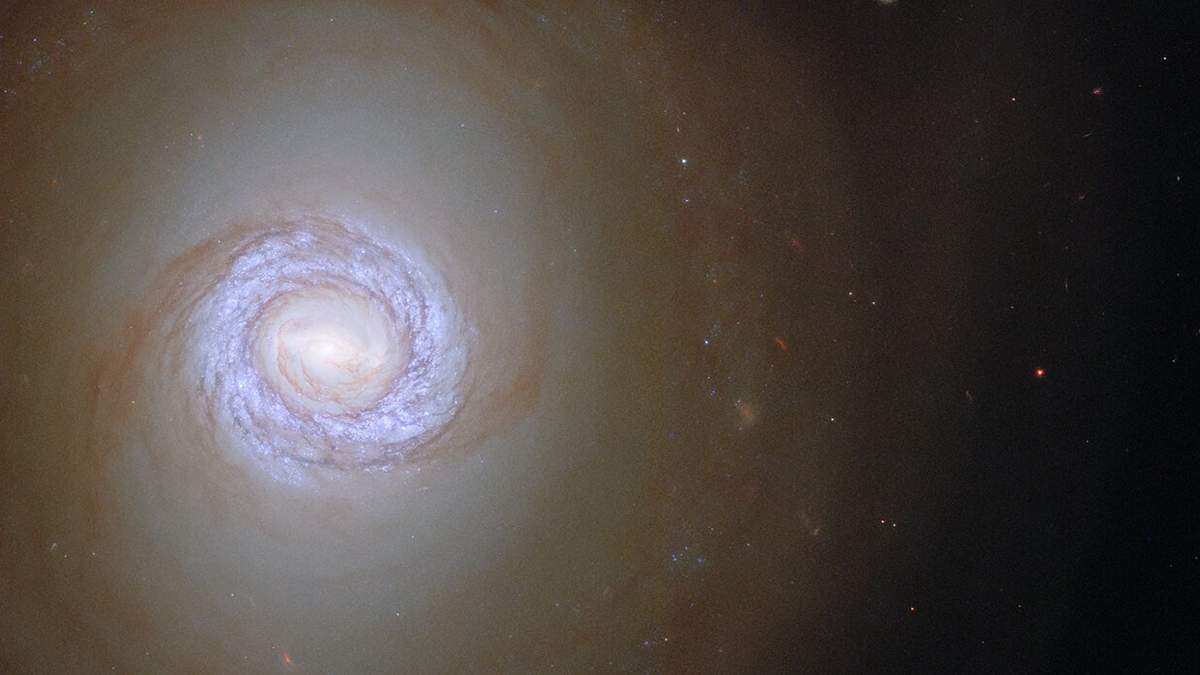 У мережі показали на унікальному фото спіральну галактику у сузір'ї Піч - фото 1