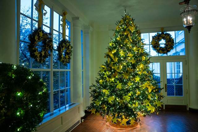 Білий дім у Вашингтоні прикрасили до Різдва: у резиденції встановили 41 ялинку - фото 486501