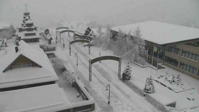 Карпати рясно засипає снігом: фото засніжених гір - фото 487070