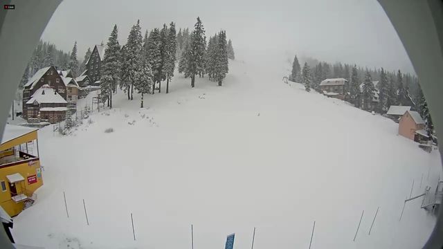 Карпати рясно засипає снігом: фото засніжених гір - фото 487071