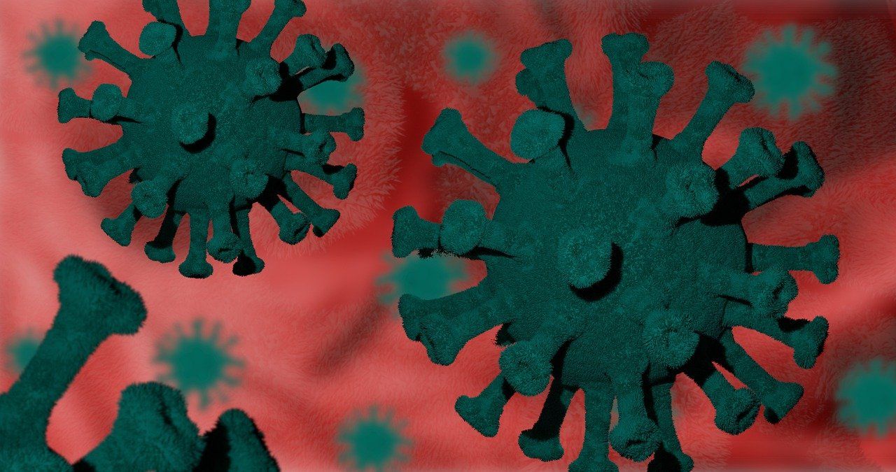 Науковці зробили знімок штаму Омікрон - фото 1