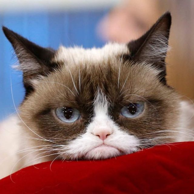 Як пережити новорічні свята: три найголовніші поради - фото 487708