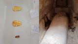 У Єгипті знайшли мумій з золотими язиками: фотофакт