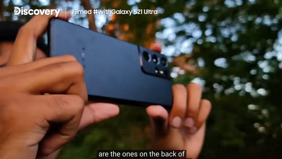 На камери смартфона Galaxy S21 Ultra зняли популяцію тигрів - фото 1