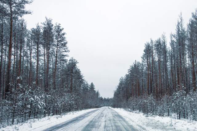 У Чорнобиль прийшла зима: на фото показали засніжену зону відчуження - фото 488018