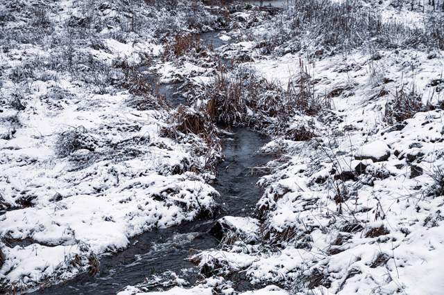 У Чорнобиль прийшла зима: на фото показали засніжену зону відчуження - фото 488019
