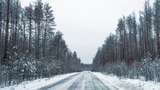 У Чорнобиль прийшла зима: на фото показали засніжену зону відчуження