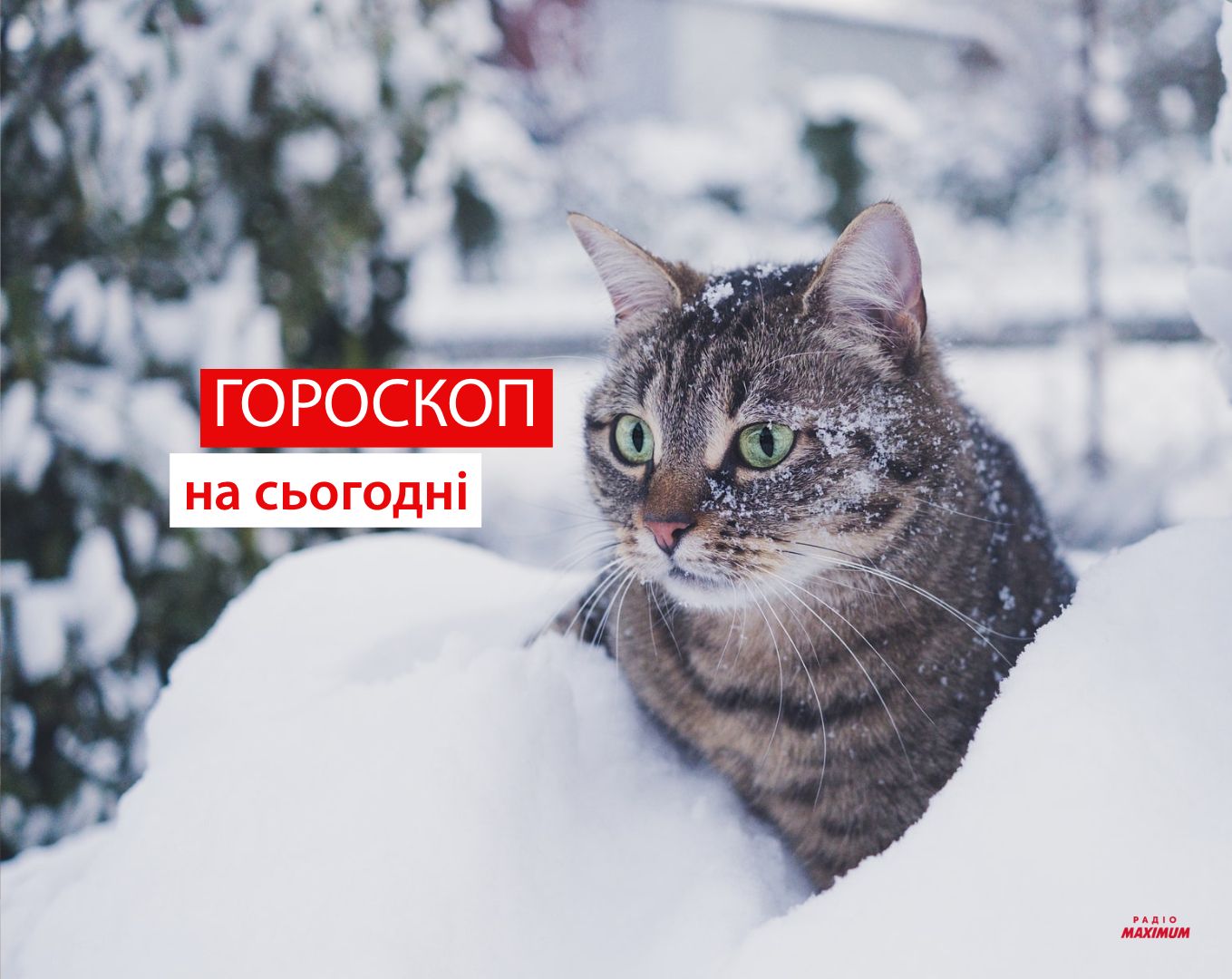 Гороскоп на 16 грудня 2021: прогноз для всіх знаків Зодіаку