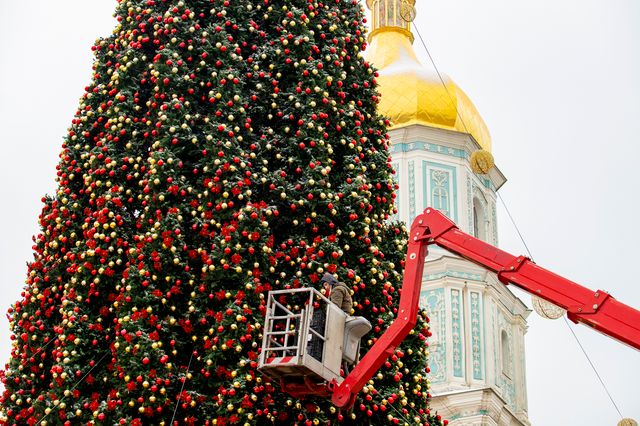 Головна ялинка України: дата, коли засяє новорічне дерево в Києві - фото 488345