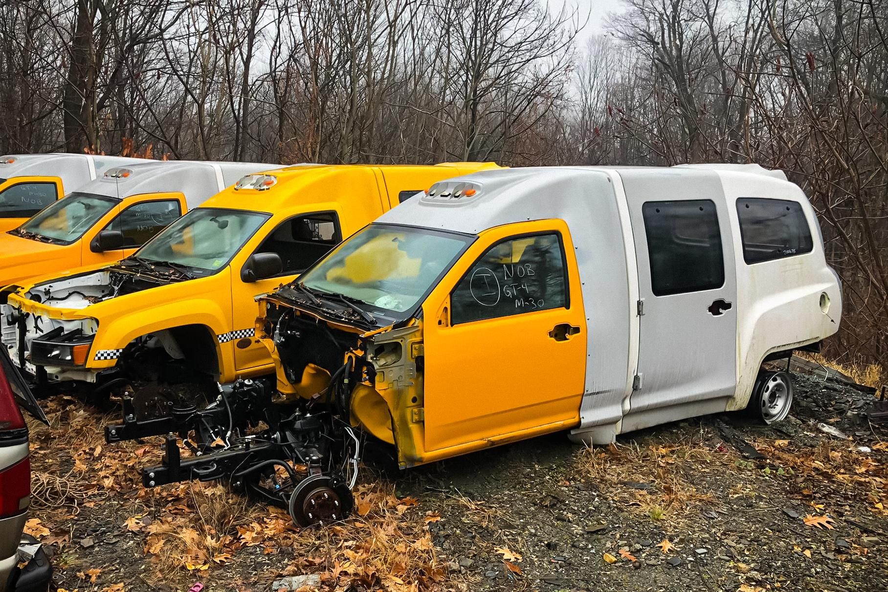 У лісі знайшли "кладовище" жовтих таксі, які ніколи не їздили