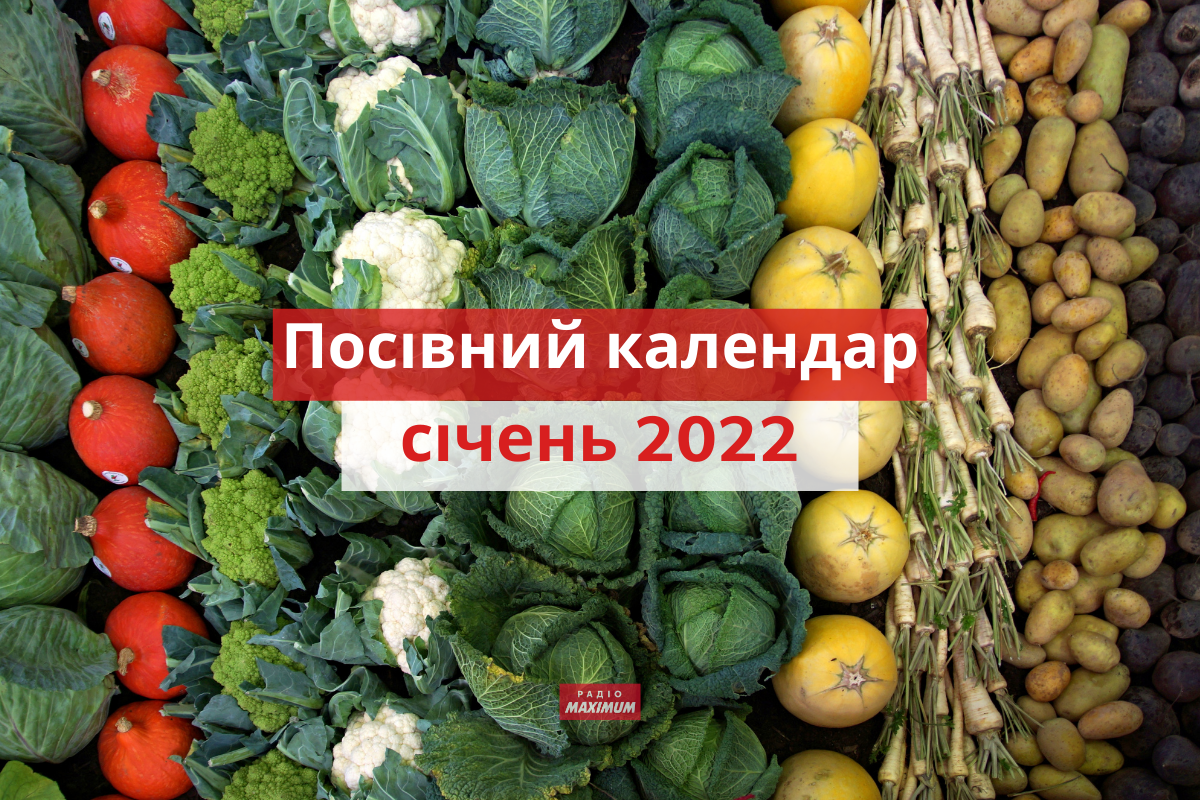 Місячний посівний календар на січень 2022: коли і що садити