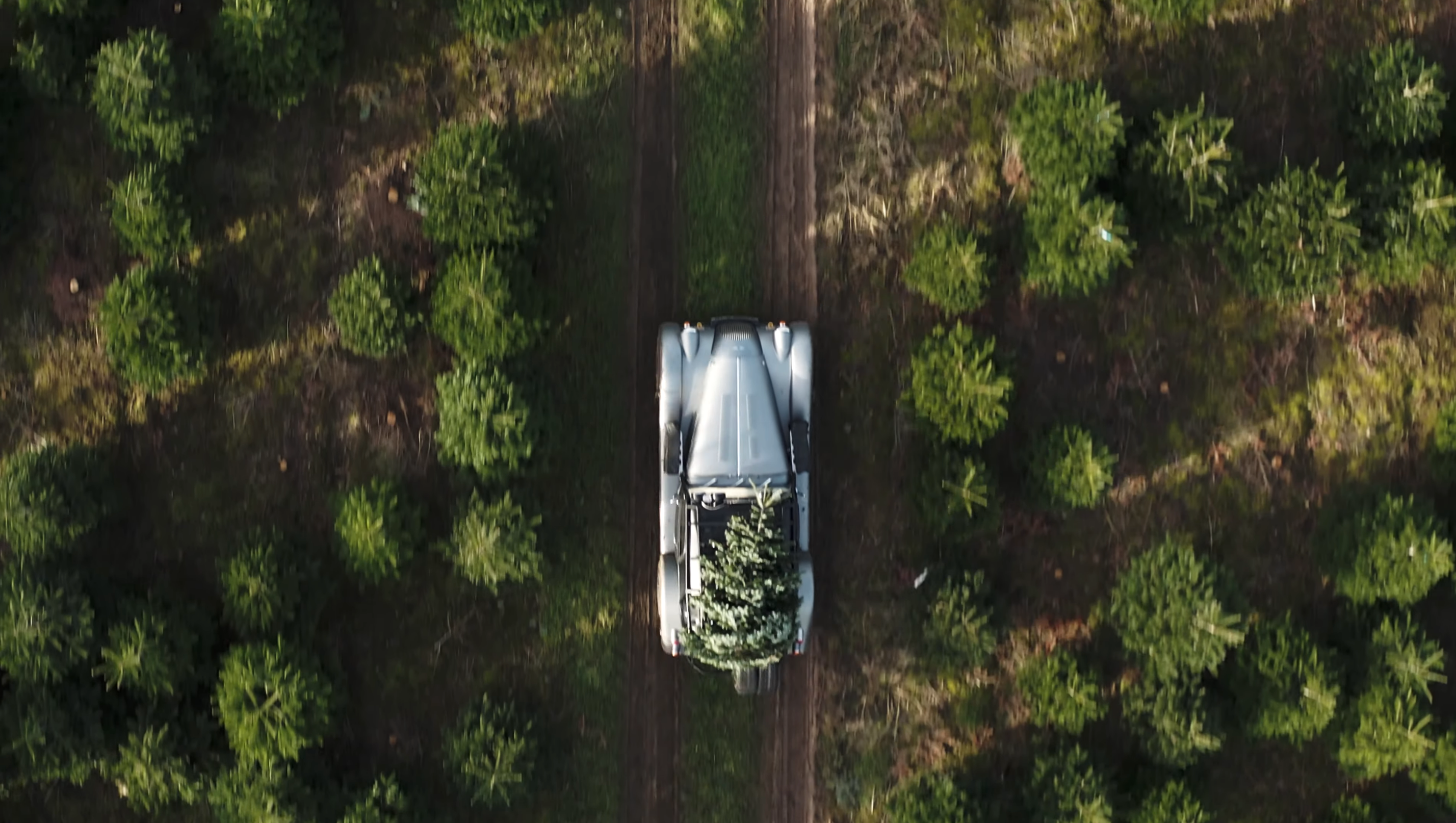 Дивіться, як британський спорткар ефектно доставив ялинку на Різдво: відео