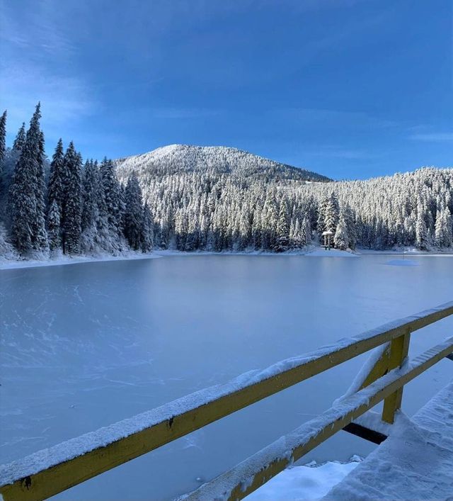 Зимові фото найбільшого озера Українських Карпат зачарували мережу - фото 488643