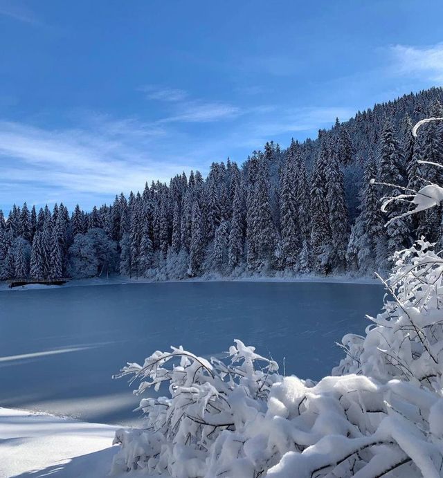 Зимові фото найбільшого озера Українських Карпат зачарували мережу - фото 488644