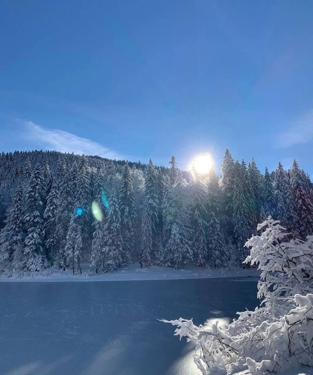 Зимові фото найбільшого озера Українських Карпат зачарували мережу - фото 488645